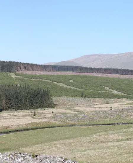 View of Shepherds' Rig site