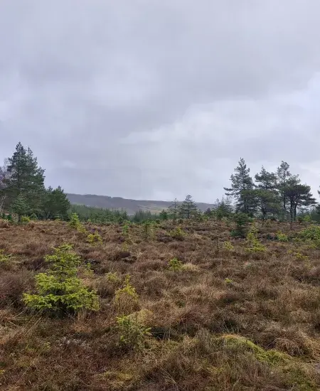 Lochluichart East BESS site