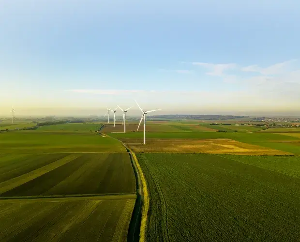 windfarm